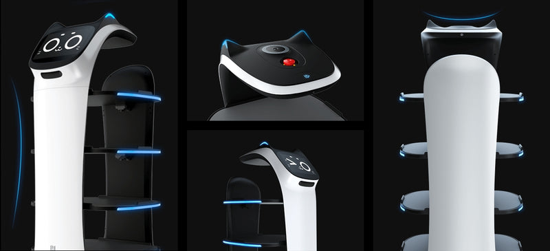 Pudu BellaBot – Premium Delivery Robot