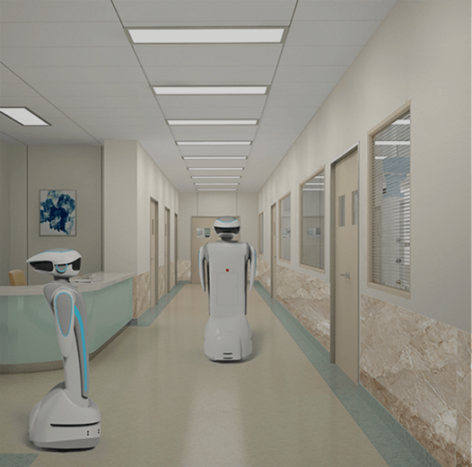 Hospital Reception and Delivery Robot for Healthcare Centers