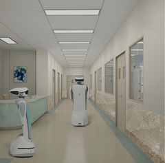 Hospital Reception and Delivery Robot for Healthcare Centers
