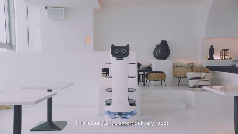 Pudu BellaBot – Premium Delivery Robot