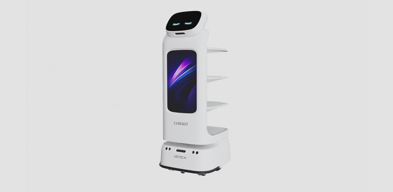 UBTECH CADEBOT L100