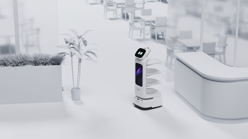 UBTECH CADEBOT L100